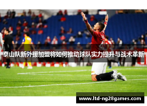 泰山队新外援加盟将如何推动球队实力提升与战术革新