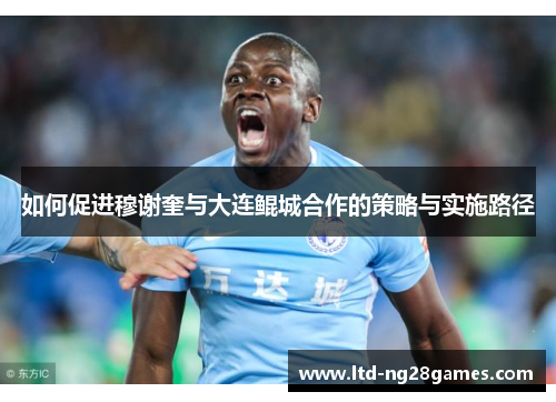 如何促进穆谢奎与大连鲲城合作的策略与实施路径