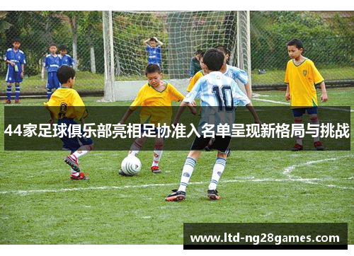 44家足球俱乐部亮相足协准入名单呈现新格局与挑战