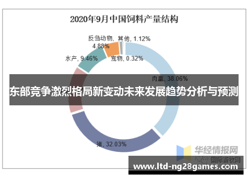 东部竞争激烈格局新变动未来发展趋势分析与预测