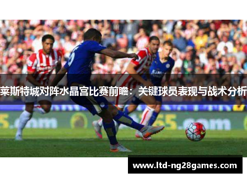 莱斯特城对阵水晶宫比赛前瞻：关键球员表现与战术分析