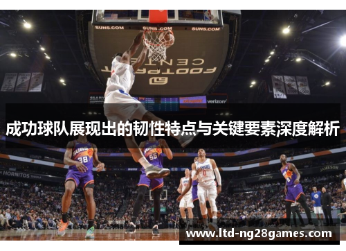 成功球队展现出的韧性特点与关键要素深度解析