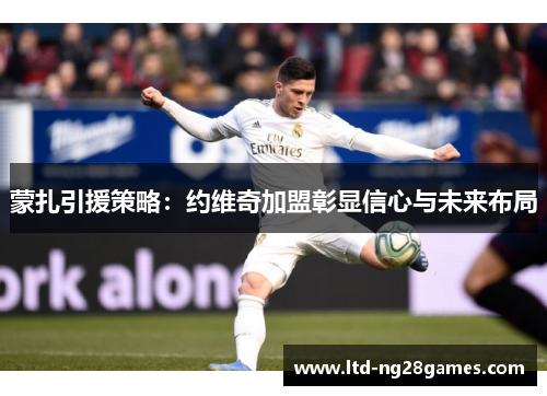 蒙扎引援策略：约维奇加盟彰显信心与未来布局