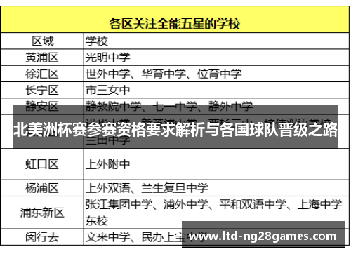北美洲杯赛参赛资格要求解析与各国球队晋级之路